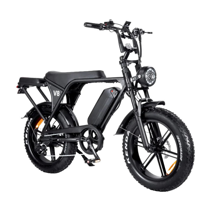 FATBIKES